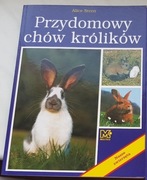 Alice Stern Przydomowy chów królików