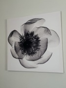 Obrazy ścienne kwiaty