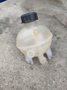 Zbiorniczek wyrównawczy Peugeot Citroen 