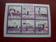 Komory 2009 MNH Fauna Ptaki Flamingi