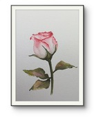 Akwarela nowa oprawiona