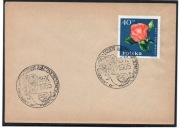 Wrocław - Dzień Łącznościowca 1965r.- koperta róża herb