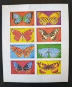 !!! GUINEA MOTYLE - CIĘTE ARKUSZCZYSTE**!!! 