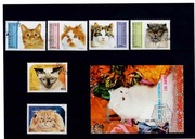 Gwinea, Laos. KOTY (54)