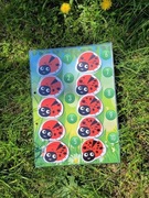 Gra edukacyjna na rzepy "Biedronka"