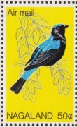 Znaczek Fauna Ptak 1969  z Nagaland Indie