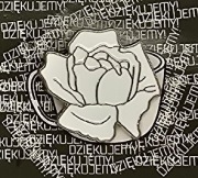 Przypinka Róża Biała