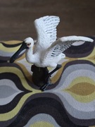 Warzęcha na pniu collecta