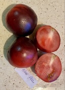 Pomidor Blue Pear nasiona kolekcjonerskie
