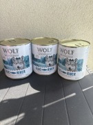 Wolf of wilderness