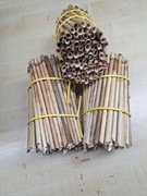 RURKI Z TRZCINY PSZCZOŁA MURARKA OGRODOWA 100 szt