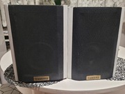 Kolumny Diy oparte na głośnikach Tonsil