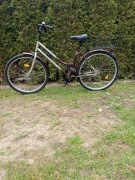 Rower miejski typu damka.