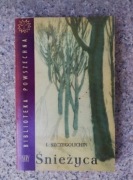 książka "Śnieżyca" Iwan Szczegolichin 