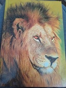 #138 Zeszyt, 96, krata, lew