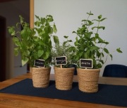 DONICZKI, OSŁONKI na zioła, zestaw 3szt.+znaczniki