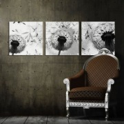  Obraz tryptyk dmuchawce szare nowoczesny 50x50