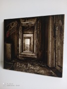 CD JOB JURAJSKI ODDZIAŁ BLUESOWY - PUSTE POKOJE; AUTOGRAFY!