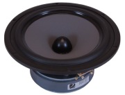 Głośnik SEAS EXCEL Niskotonowy E0097-08 W22NY003