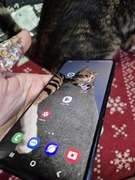 Samsung galaxy s20 fe 