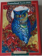 Puzzle Castorland 1500 Sowa, Hoot, David Galchutt