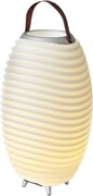 Kooduu Głośnik i Lampa LED i chłodziarką do napojów Synergy 65