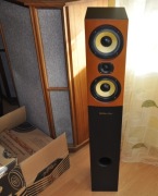 Diora Yellow line   AUDAX