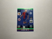 Master Fabian Schar 2014-2015