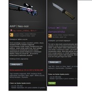 Ursus knife & AWP Neo-nori