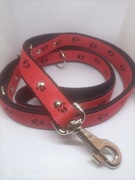 Smycz dla psa 30mm/250cm składak