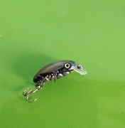 Wobler ROBAK spływanka na drapeżnika Kiler ok.3,5cm 2g