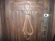 Lejce jednokonne, singlowe, pojedynka