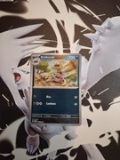Karta Pokemon TCG Krokorok PFL 065 Reverse Holo