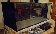 Akwarium 1280 l, 200x80x80 cm
