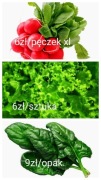 Rzodkiewka, Szczypiorek, Sałata, Szpinak Bionatura