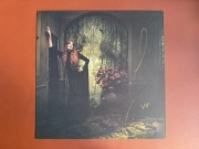 EVERYBODY SCREAM (INDIE TRANSLUCENT RED) Florence and The Machine Signed 