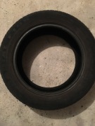 Opona minerva radial F109