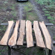 deska śliwy deski śliwki tarcica śliwa 1-6