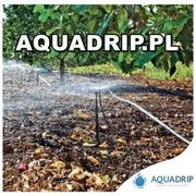 Zraszacz ogrodowy - Zraszacze ogrodowe Rain Bird