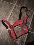 Kantar różowy COB z firmy START