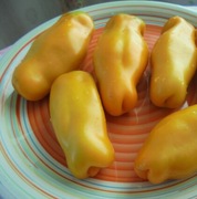 Pomidor Aurija Yellow Eros nasiona kolekcjonerskie