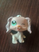 Littlest Pet Shop LPS unikat Cocker spaniel fioletowy POP petshop