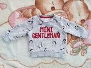 Szara bawełniana dresowa bluza C&A 74 w pingwiny gentelman jak nowa