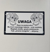 Wyjątkowe tabliczki uwaga zły pies duży wybór doberman, amstaff owczarek