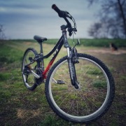 Rower dziecięcy Kellys 24 "