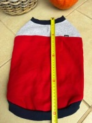 bluza Amiplay Denver dla psa