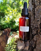 Ekstrakt z pyłku sosnowego plus ocet z kawy arabica 50 ml