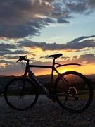 Rower crossowy GIANT Roam 1 28" XL aluminiowa rama