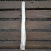 Lipa lipowe do rzeźbienia wysokość 43 cm, szerokość 4cm, 20 cm, 30 cm, 60
