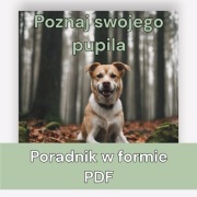 Poradnik na temat zrozumienia psa
